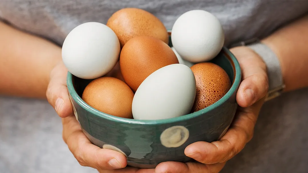 are-eggs-good-or-bad-cholesterol